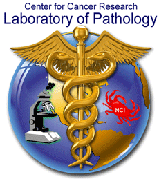 CCR Laboratory of Pathology - Staff > Accreditation and Regulatory Compliance > LP Logo.gif