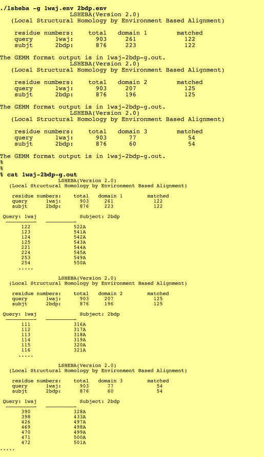 GEMM format output example