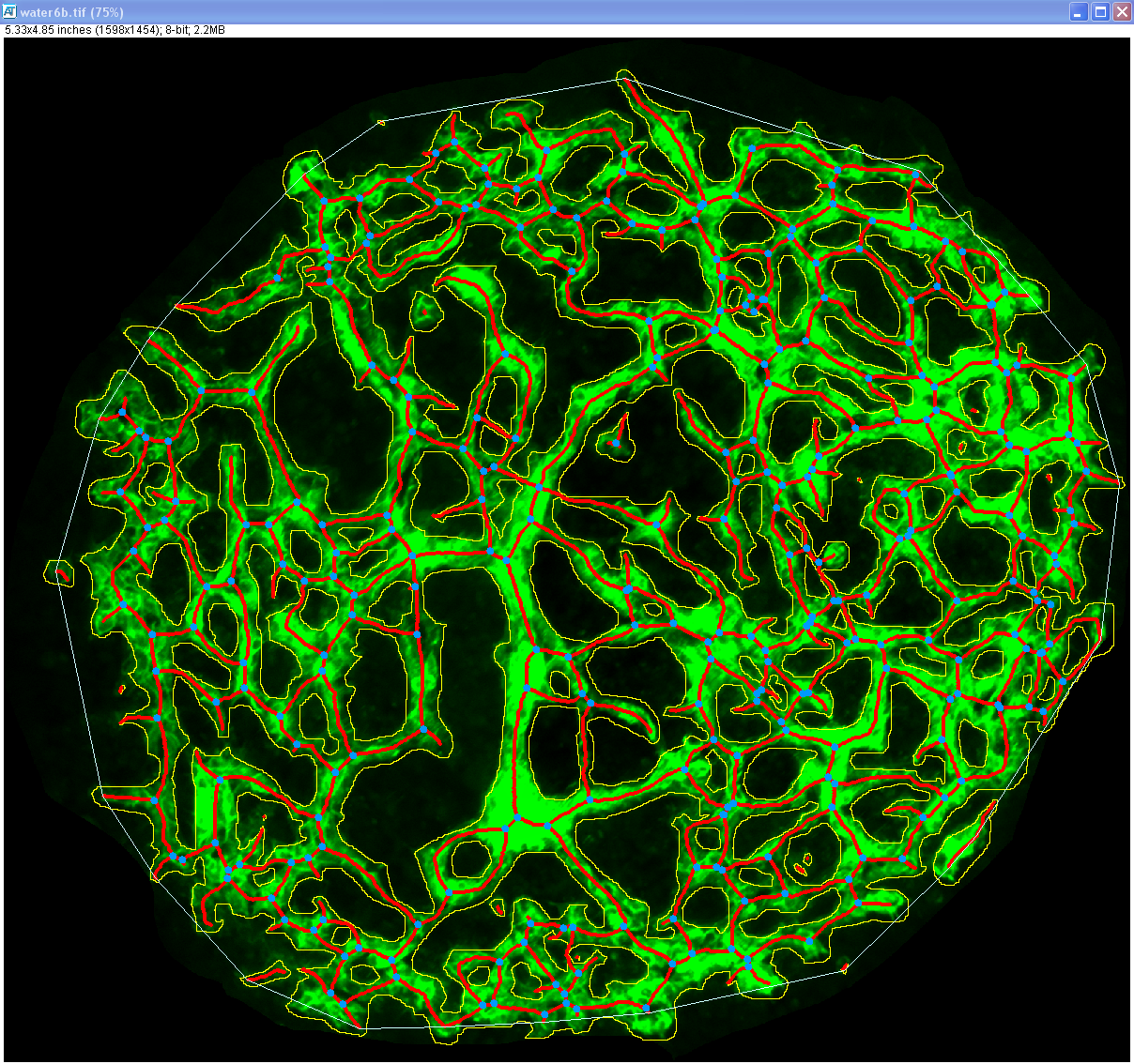 example run of molecular vessel