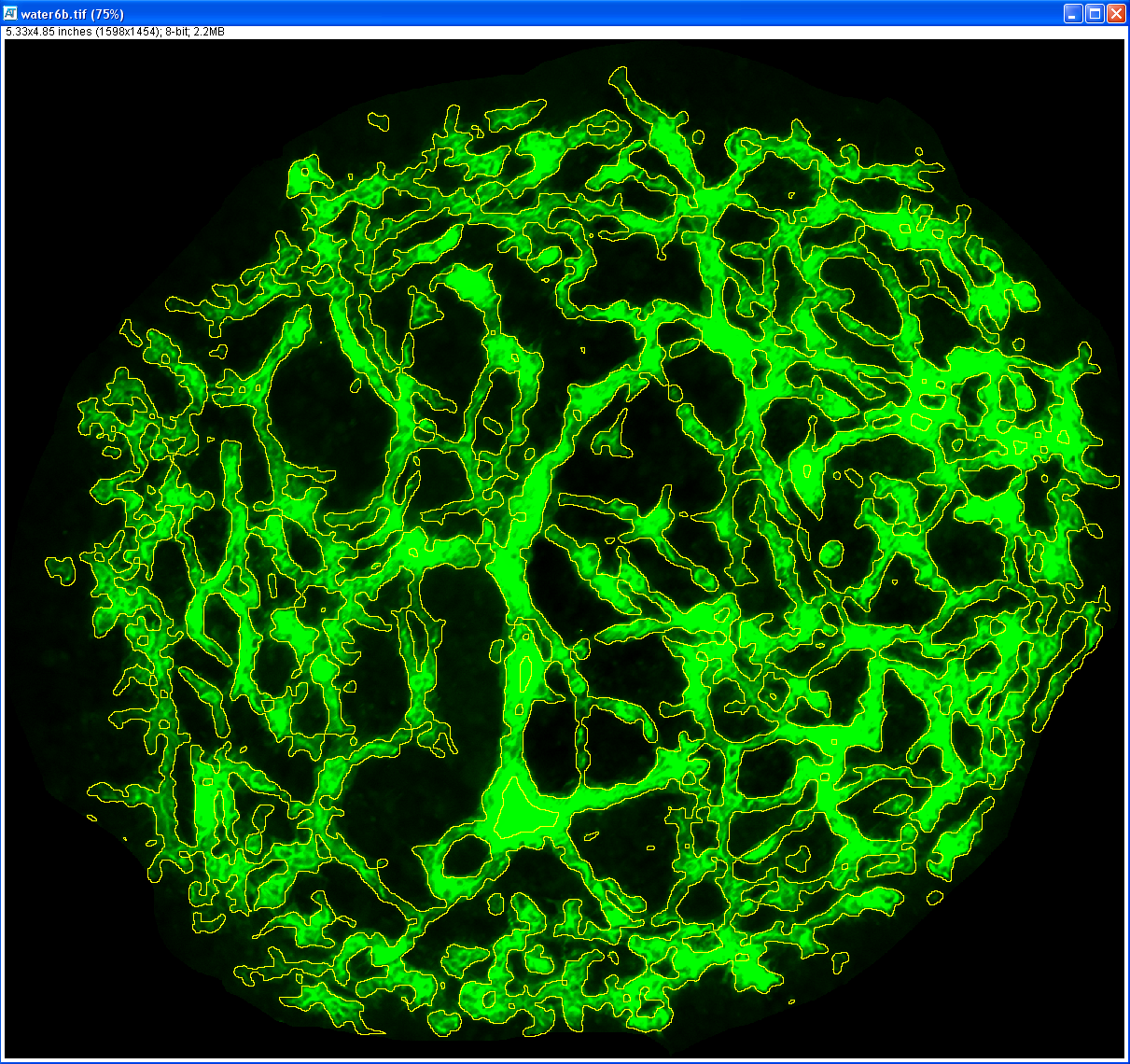 example molecular vessel