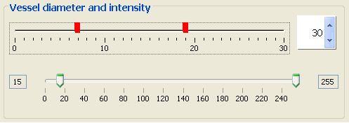 vessel diameter and intensity control
